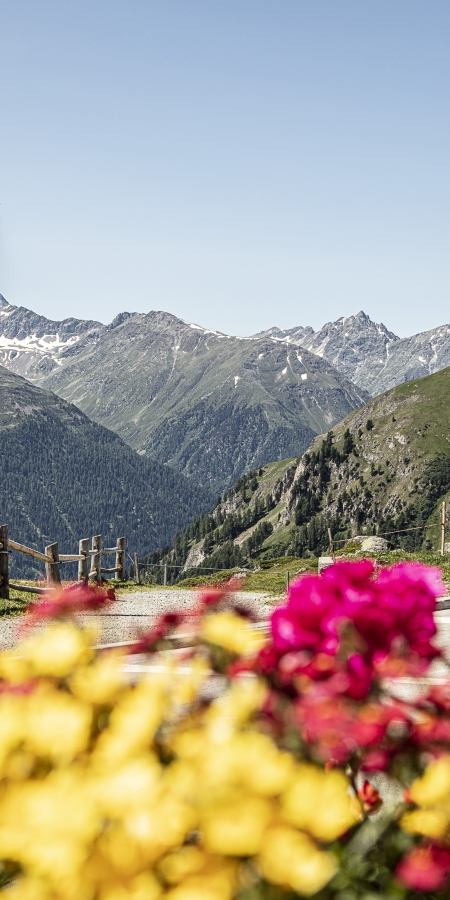 Ausblick von der Alp Laret, oberhalb von Ftan im Engadin